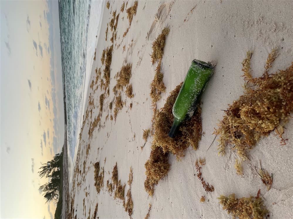Brockport student’s “message in a bottle” discovered eleven years later